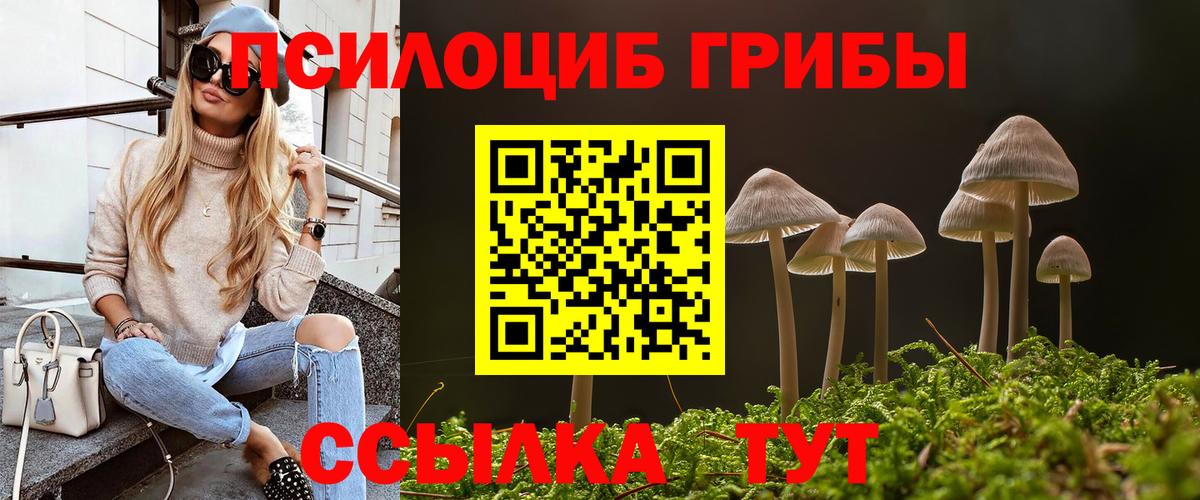 Псилоцибиновые грибы ЛСД Ачинск