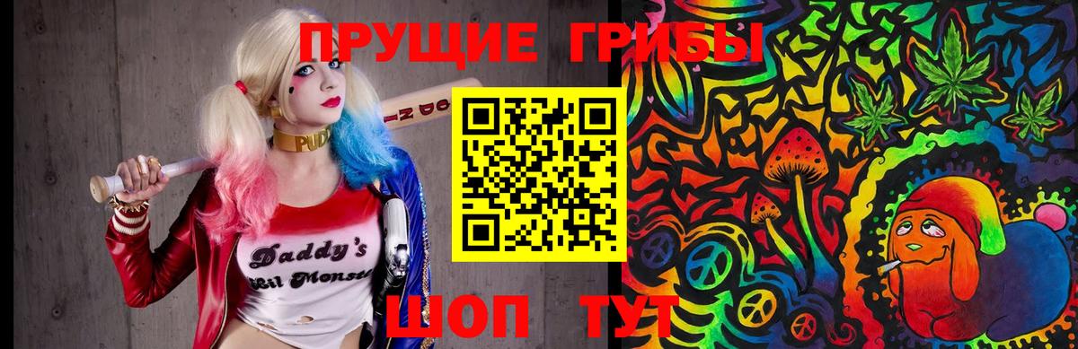Галлюциногенные грибы Psilocybine cubensis  Вход с VPN  Ачинск  Псилоцибиновые грибы Psilocybe 